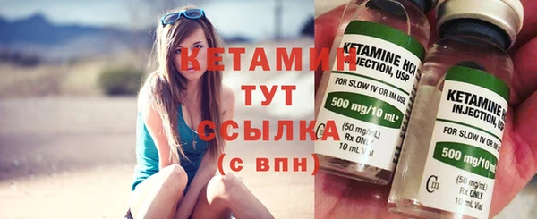 индика Козельск