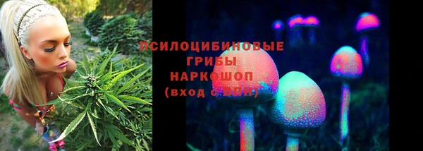 СК Козловка