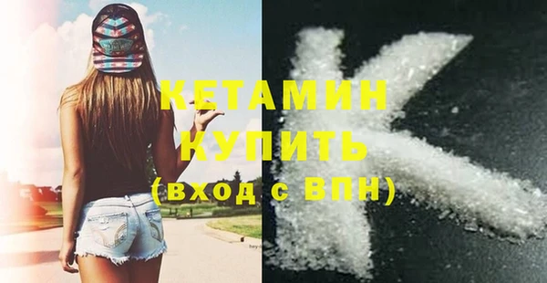 индика Козельск