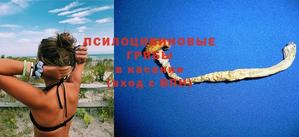 СК Козловка