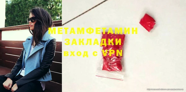 индика Козельск