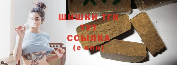 индика Козельск