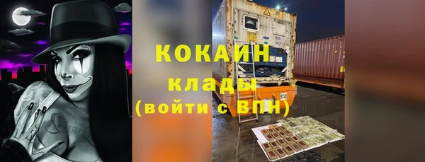 индика Козельск