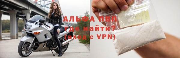 индика Козельск