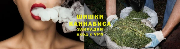 индика Козельск