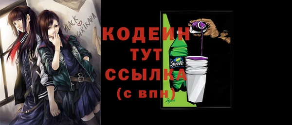 индика Кодинск