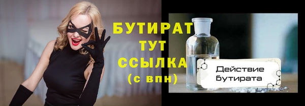индика Козельск