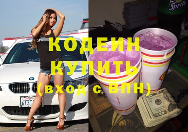 индика Кодинск