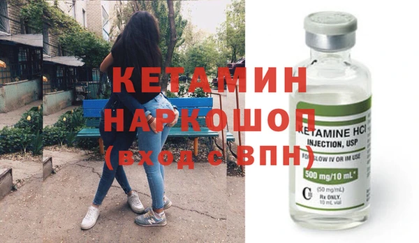 индика Козельск