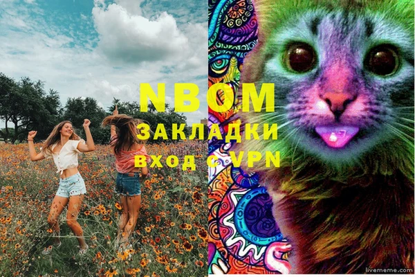 индика Козельск