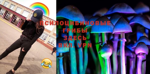 индика Козельск