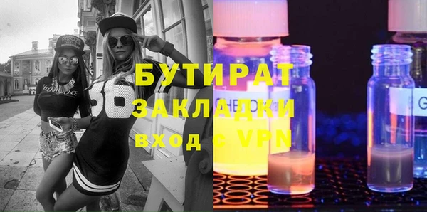 индика Козельск