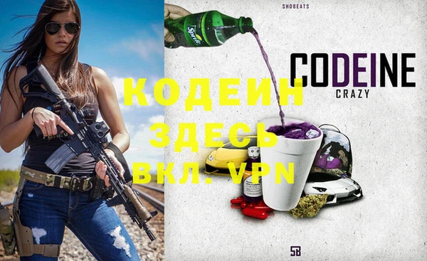 индика Козельск