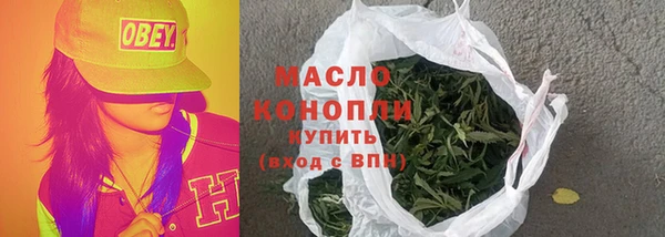 индика Козельск