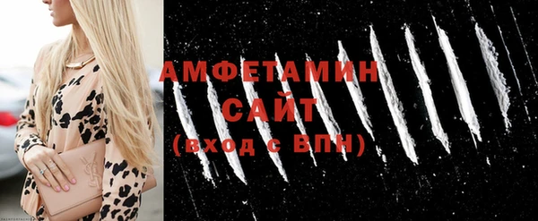 индика Козельск