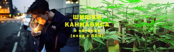 СК Козловка
