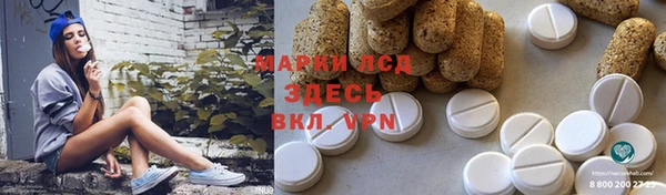 индика Козельск