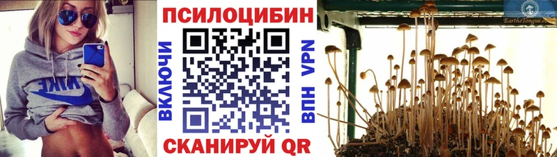 Купить где  Багратионовск  Галлюциногенные грибы MAGIC MUSHROOMS 