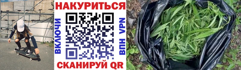 Купить закладки  Багратионовск  Бошки Шишки VHQ 